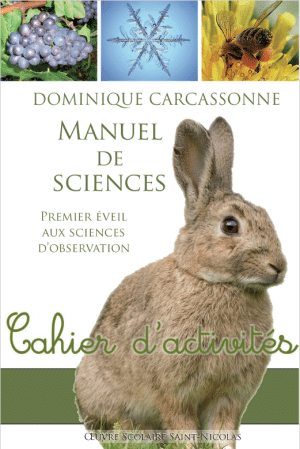 Cahier d'activités Sciences CE couverture