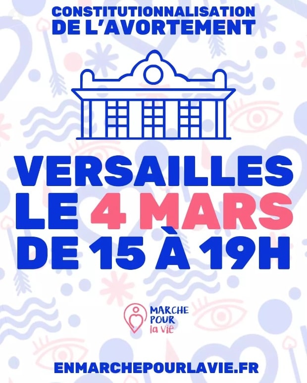 IVG dans la Constitution : le consensus totalitaire - Renaissance ...